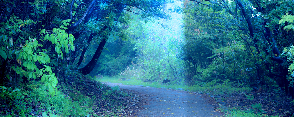 ジターリングでデトックス効果